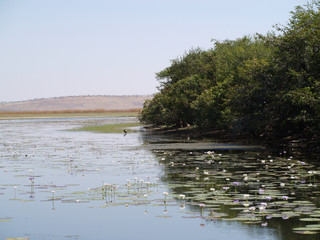 Kimberleys Region, Western Australia