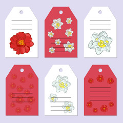 Set of gift tags. Stock vector set. Hand drawing tulip and narcissus. Place for an inscription. You can place your text in the center. Greeting, invitation, design cards.