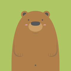 cute big brown bear on green background