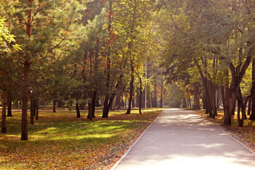 Naklejka premium Autumn Park