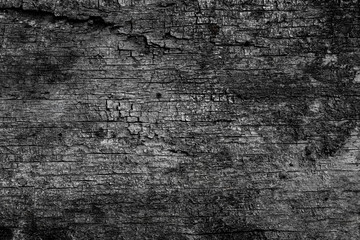 Black wood textured background.
