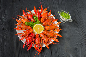 Boiled red crayfishes on a white dish, top view