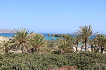 Fototapeta premium Naturschutzgebiet Palmental von Vai, Kreta