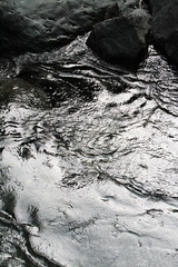 Torrent de montagne.