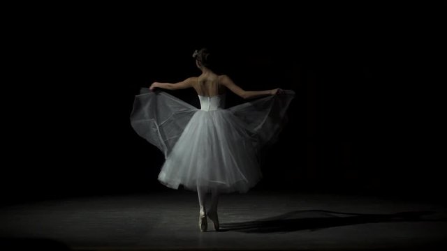 Beautiful Ballet Dancer On Stage