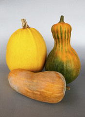 Decorative pumpkins for Halloween