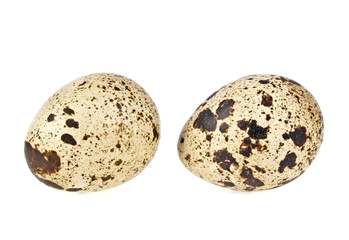 Quail eggs on a white background