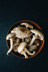 Raw wild champignon mushrooms in a clay bowl on a black background. top view. vertical photo