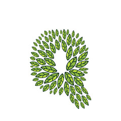 Q letter logo formed by vintage pattern, line green leaves.