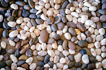 Pebbles stone background.