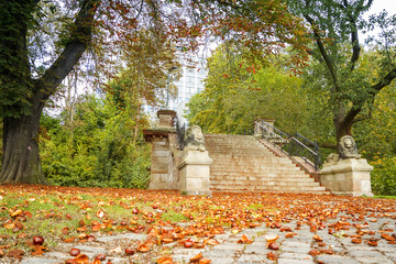 Fototapeta premium Autumn Landscape with chestnuts on the stairs