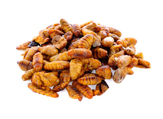 silkworm in white bowl on white background