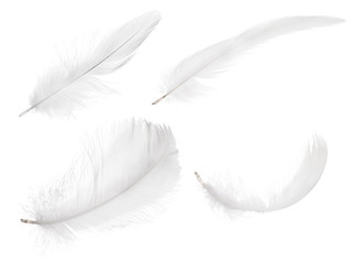 four pure white isolated feathers