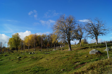 Landscape north of Sweden