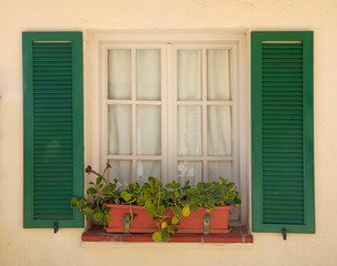 rustic window with old green shutters and flower pot