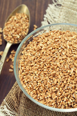 raw spelt on wooden background