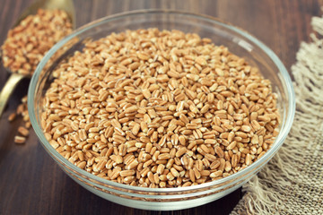 raw spelt on wooden background