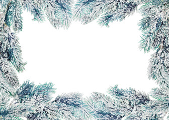 Fototapeta na wymiar frame from blue pine tree branches in snow on white