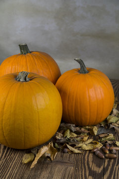 Orange Pumpkins with leaf as a symbol of Autumn and Halloween
