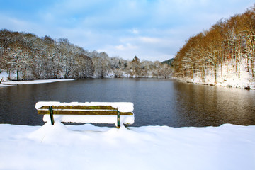 Bench in the winter park and forest sea.
