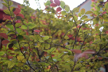 The simplicity of life day