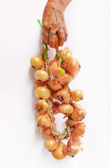 Woman holding golden onions in closeup isolated on white