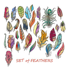 Vector Ornate Set of Stylized and Abstract Feathers.