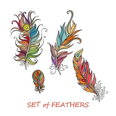 Vector Ornate Set of Stylized and Abstract Feathers.