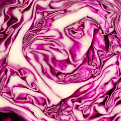 Red (purple) cabbage cut texture