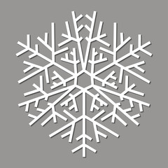 Vector illustration, white snowflake on a grey background