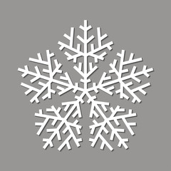 Vector illustration, white snowflake on a grey background