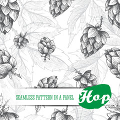 Beer hops seamless pattern of hand drawn hops cones and hops leaves, black and white background, sketch and engraving design hops plants. All element isolated.