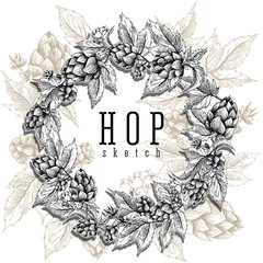 Beer hops round frame hand drawn hops branches with leaves, cones and hops flowers, color sketch and engraving design hops plants. All element isolated. Common hop or Humulus lupulus branch.