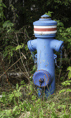 blue fire hydrant