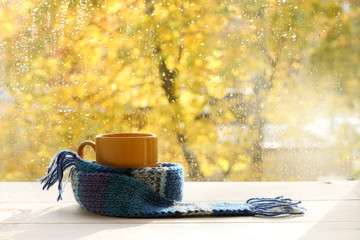 autumn warming coffee break/ Orange mug wrapped in a blue scarf on the background of the window...