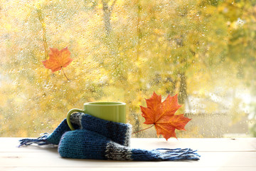 season when you need warm drinks/ green circle in the scarf, the window with maple leaves and drops...