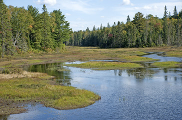 Landscape north of Ontario in fall