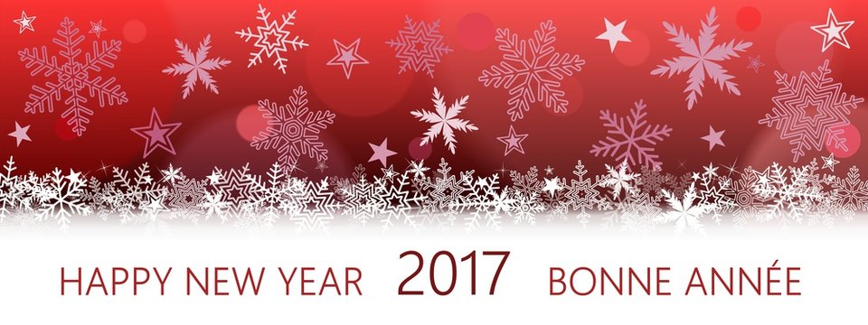 Happy New Year 2017 Bonne Année. (r)