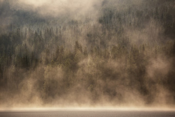 Heavy fog in the early morning on a mountain lake
Early morning on Yazevoe lake in Altai mountains, Kazakhstan - 122753041