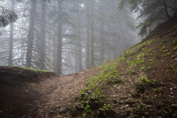 Obraz premium Panorama of Romanian Carpathians
