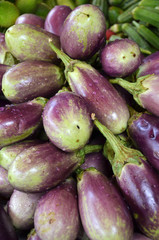 Raw ripe Eggplant