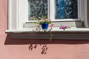 Fototapeta na wymiar An old house window decorated with flower pots