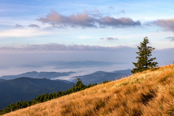 Autumn mountain morning above the clouds
