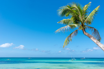 Fototapeta na wymiar Tropical beach background from Boracay island with coconut palms