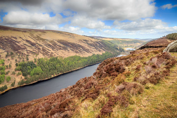 les montagnes de wicklow