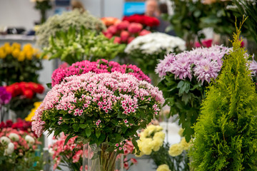 Fototapeta na wymiar International Flower Exhibition in Moscow in 2016