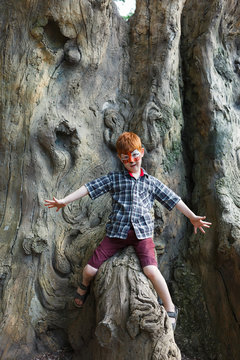Boy child outdoors climb tree with tiger face painting
