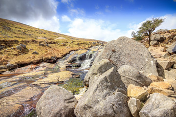 Parc national des montagnes de Wicklow