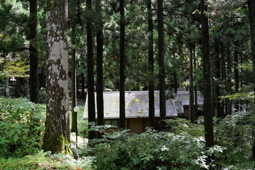森の中の小屋　ロッヂ　コテージ　別荘　小屋　キャビン　バケーション