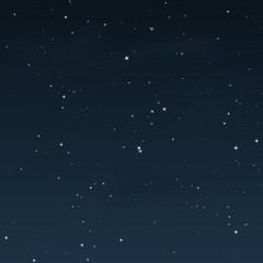 Obraz na płótnie Canvas Starry Night - Vector